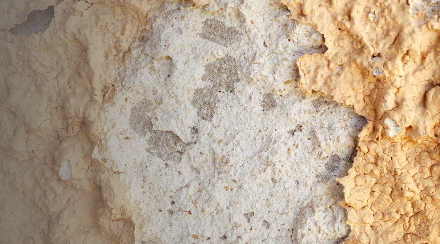 Why choose LumeVertex for water damage restoration in Alhambra